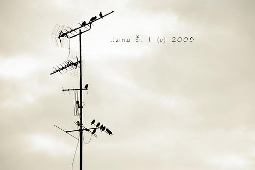 Vysielanie — foto 1