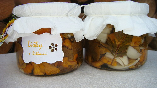 Lišky s liškami — foto 1