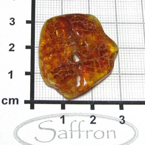 Přírodní Jantar - Litva č.1 — foto 1