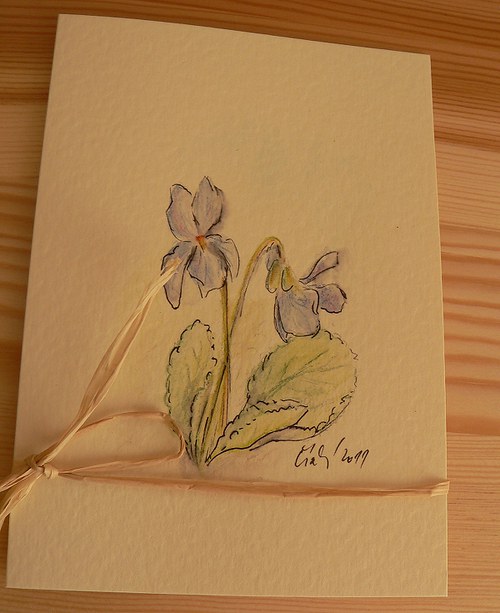 Přání fialkové — foto 1