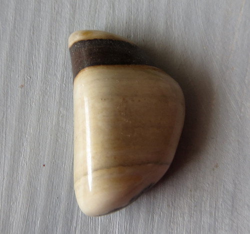 Kalahari Jaspis JAR č.11 — foto 1