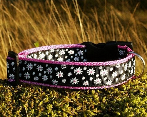 Černorůžový obojek 25 - 35 cm — foto 1