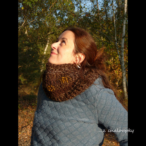 Medvídkově hebký — foto 1