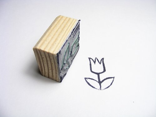Tulipán — foto 1