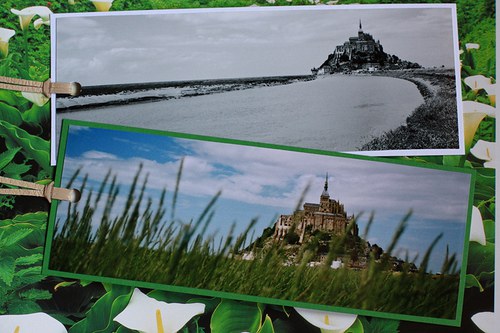 Sada Le Mont Saint-Michel v trávě — foto 1
