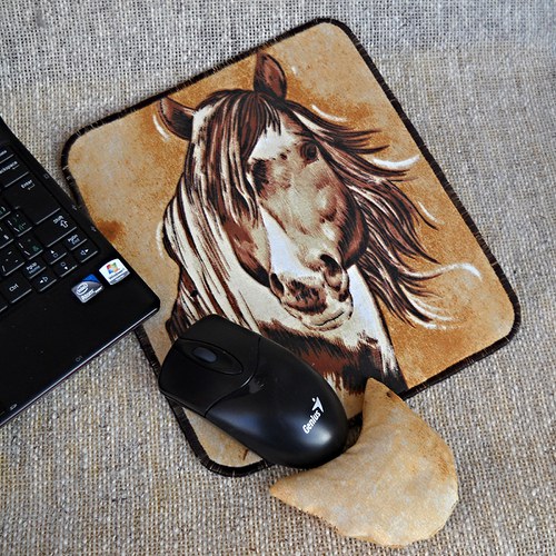"Konečně počítačový kůň!" - maxisouprava k PC — foto 1