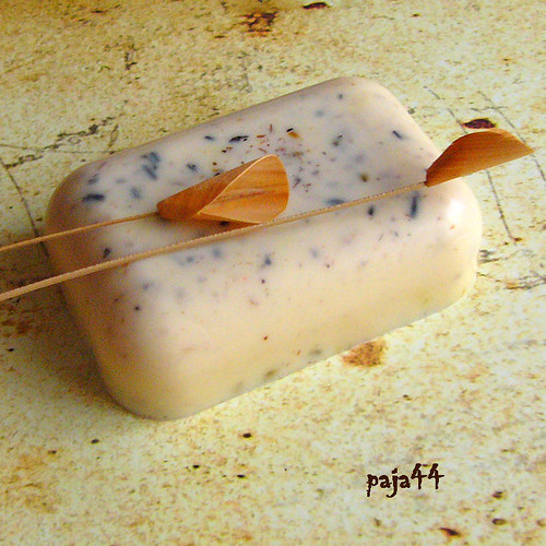 Rakytník + Kozí Mléko — foto 1