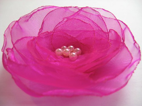 Jemná fuchsie... — foto 1