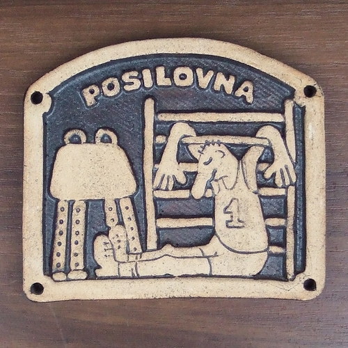 Kachlík č.38 - Posilovna
