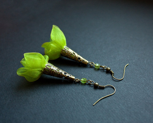 Kiwi organzovky — foto 1