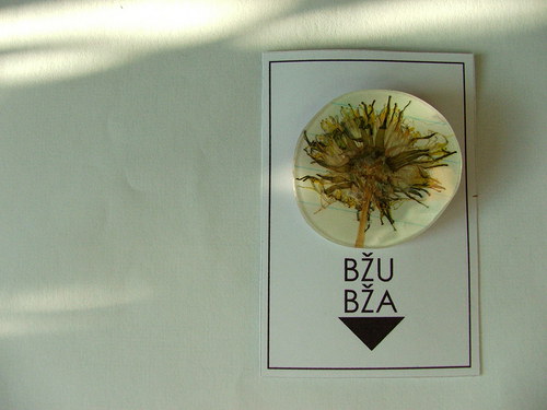 Pampelišková — foto 1