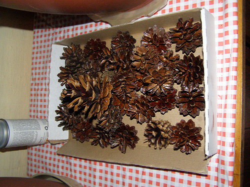 Zuzu2005 — foto 1