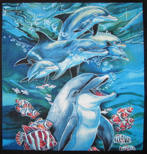 Panel — foto 1