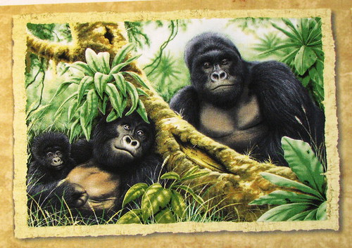 Panel — foto 1