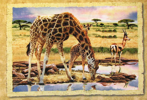 Panel — foto 1