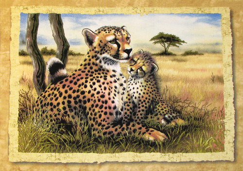 Panel — foto 1