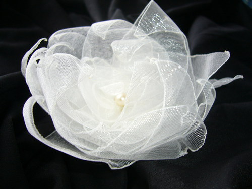 Lily — foto 1