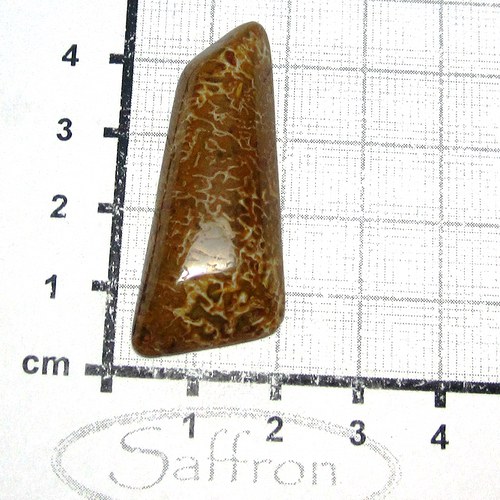 Dinosauří kost , kabošon č.01 — foto 1