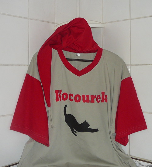 Pro kocourka na spaní — foto 1