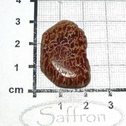 R Dinosauří kost , kabošon č.5 — foto 1