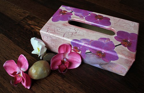 Fialová orchidej — foto 1