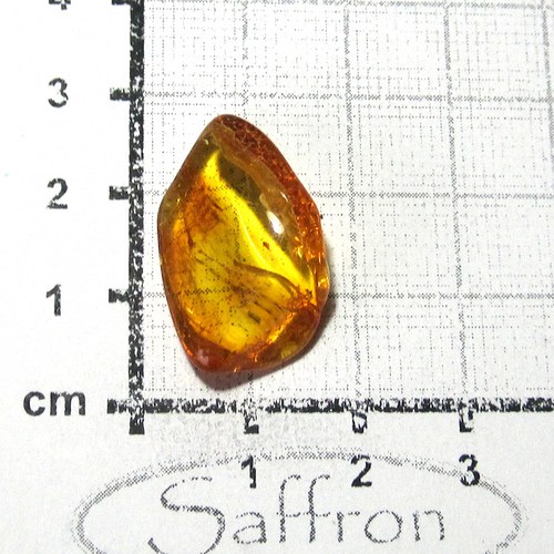 Přírodní Jantar - Litva č.08 — foto 1