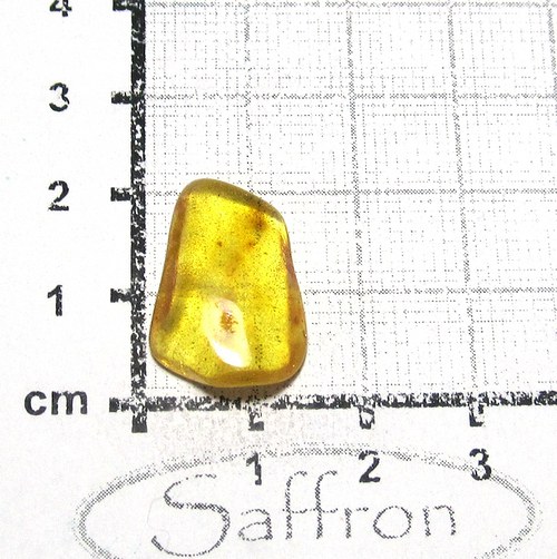 Přírodní Jantar - Litva č.016 — foto 1