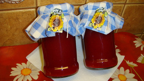 Rybízová marmeláda 300 ml. — foto 1