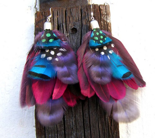 Midnight Pheasant — foto 1