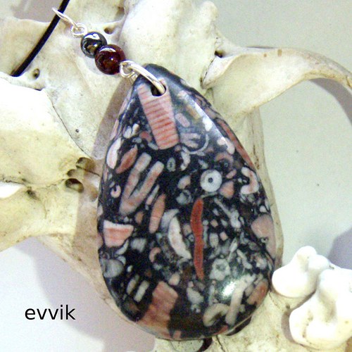 Prvohorní crinoidy — foto 1