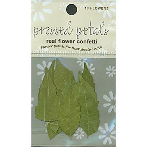 Papírové listy Confetti Green Leaf - zelený — foto 1