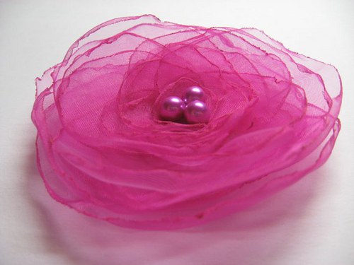 Fuchsie... — foto 1