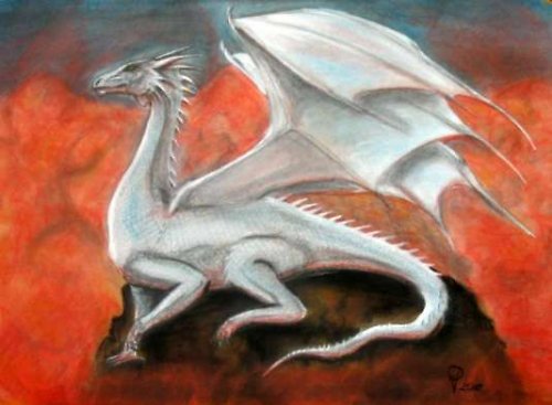 White Dragon — foto 1