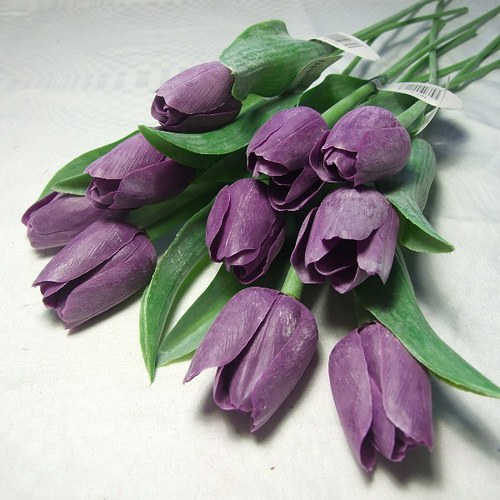 Tulipán tmavě fialový — foto 1