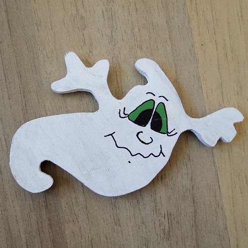 Magnet duch