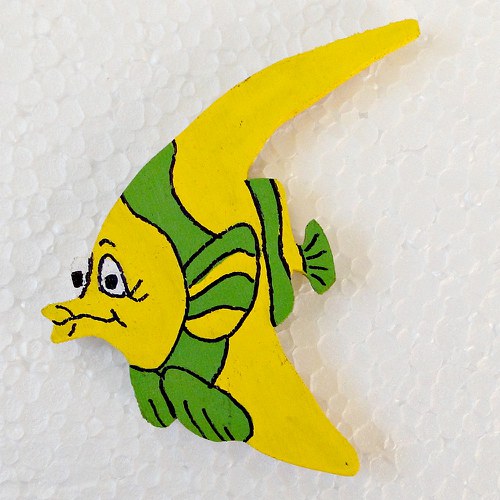 Magnet ryba