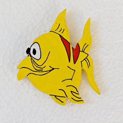 Magnet ryba