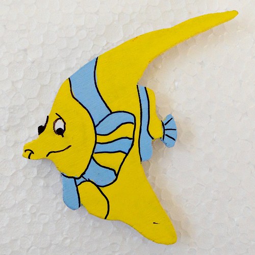 Magnet ryba