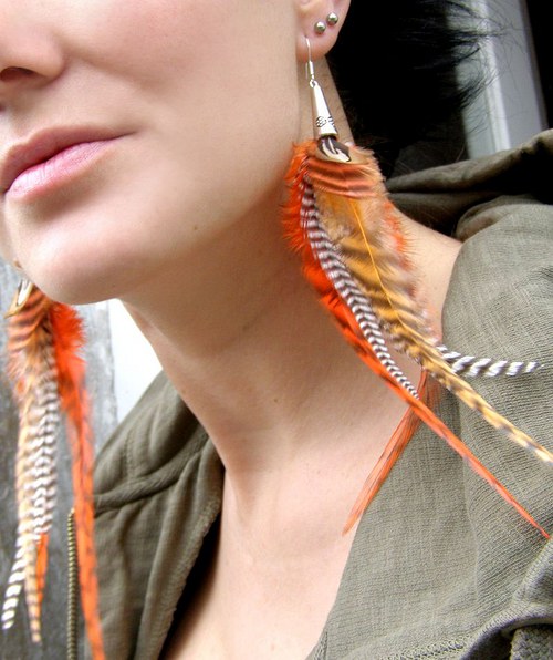 Orange Zebra — foto 1