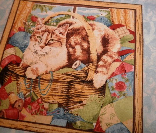 Kočičí pomocníci2... — foto 1