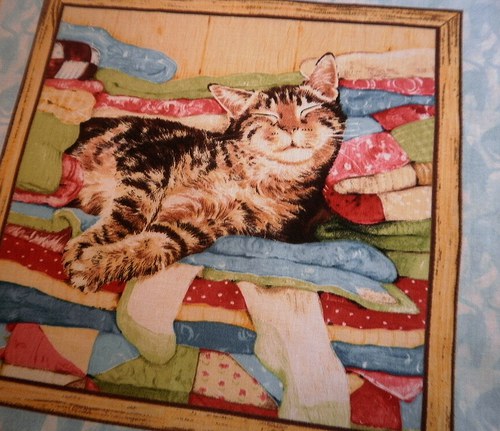 Kočičí pomocníci5... — foto 1