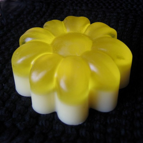 Kytka_lemongrass — foto 1