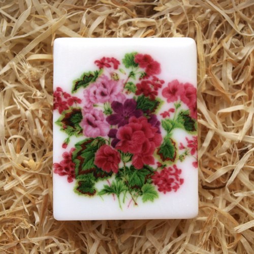 Pelargonie / 661 — foto 1