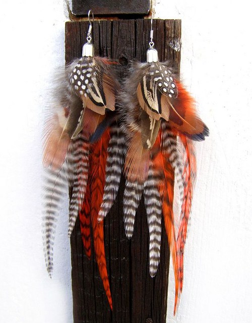 Orange Zebra — foto 1