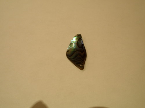 Paua perleť — foto 1