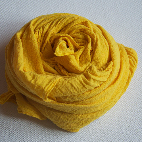 Citron a limetka — foto 1