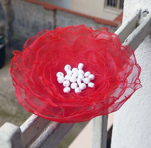 Flower — foto 1