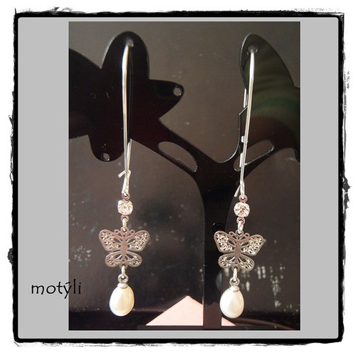 Motýli — foto 1