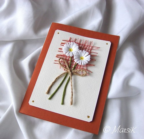 Dvě sedmikrásky... — foto 1