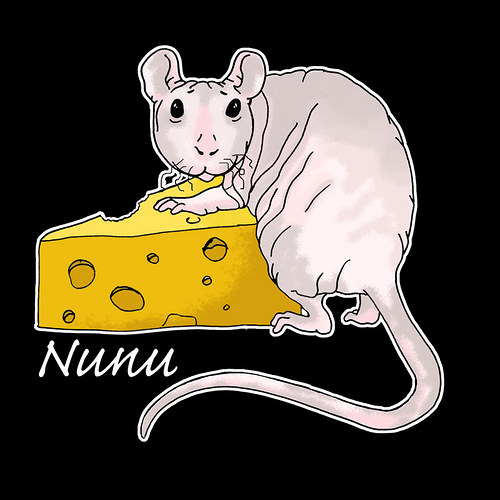 Bezsrstý potkánek na přání pro e-bee — foto 1